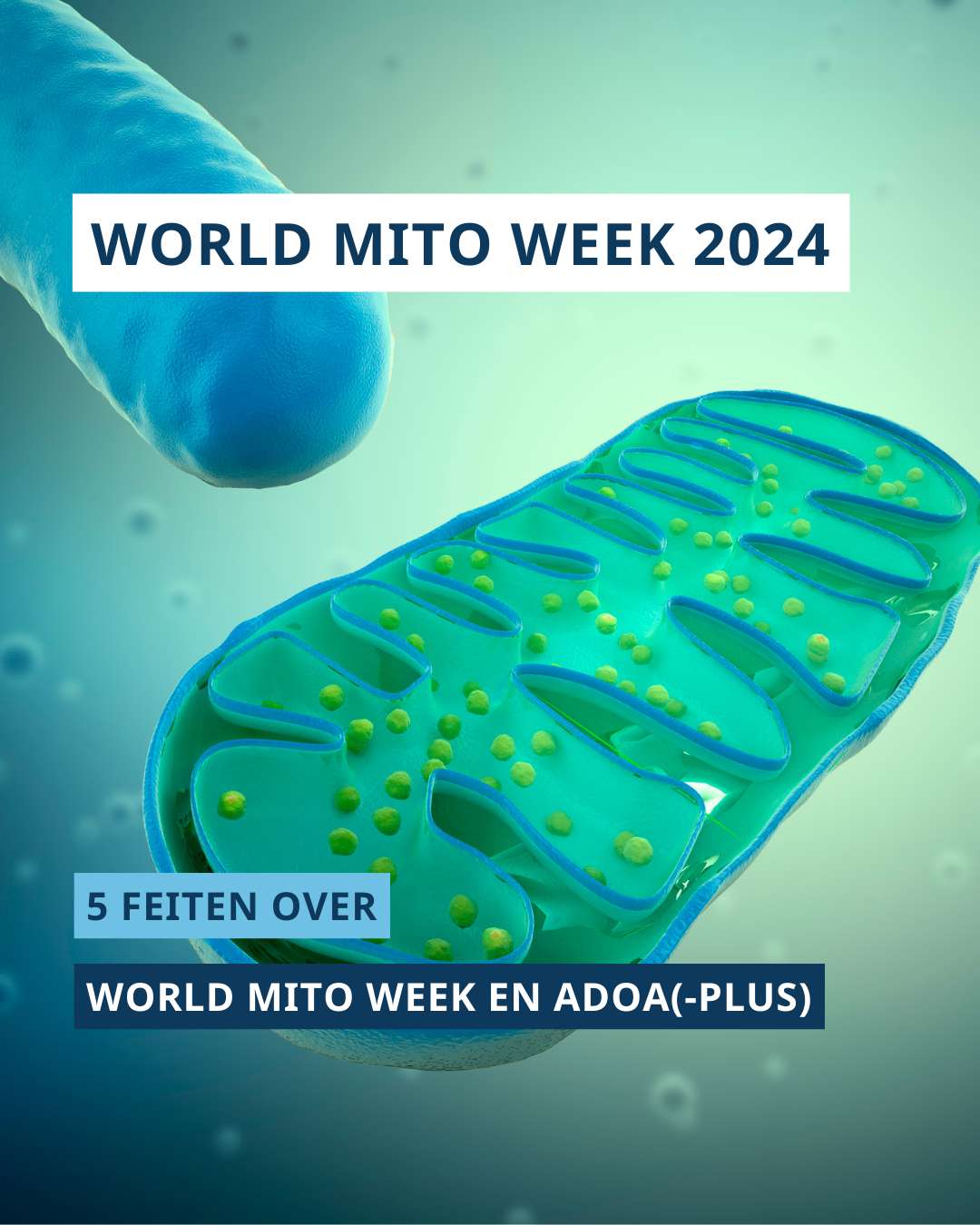 Mitochondriën met daarover de tekst ‘World MITO Week 2024’ en ‘5 feiten over World MITO Week en ADOA(-plus)