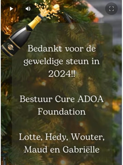 Dezelfde achtergrond, nu met de tekst: Bedankt voor de geweldige steun in 2024! Bestuur Cure ADOA Foundation Lotte, Hedy, Wouter, Maud en Gabriëlle