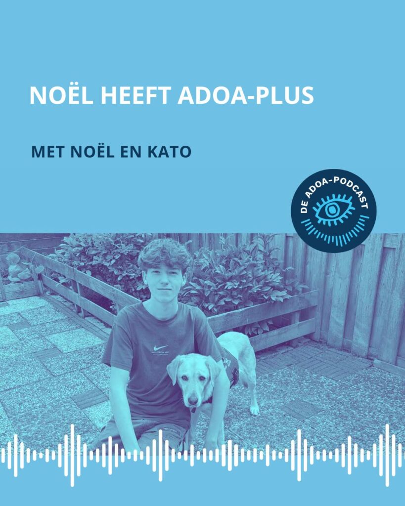 Op de onderste helft van het beeld zien we een foto van Noël met zijn hond Kato. Onderin de foto zie je streepjes die een soundwave voorstellen. Op de bovenste helft staat de tekst: 'Noël heeft ADOA-plus'. Daaronder staat ‘met Noël en Kato’. Rechtsonder de titel staat het logo van de ADOA-podcast