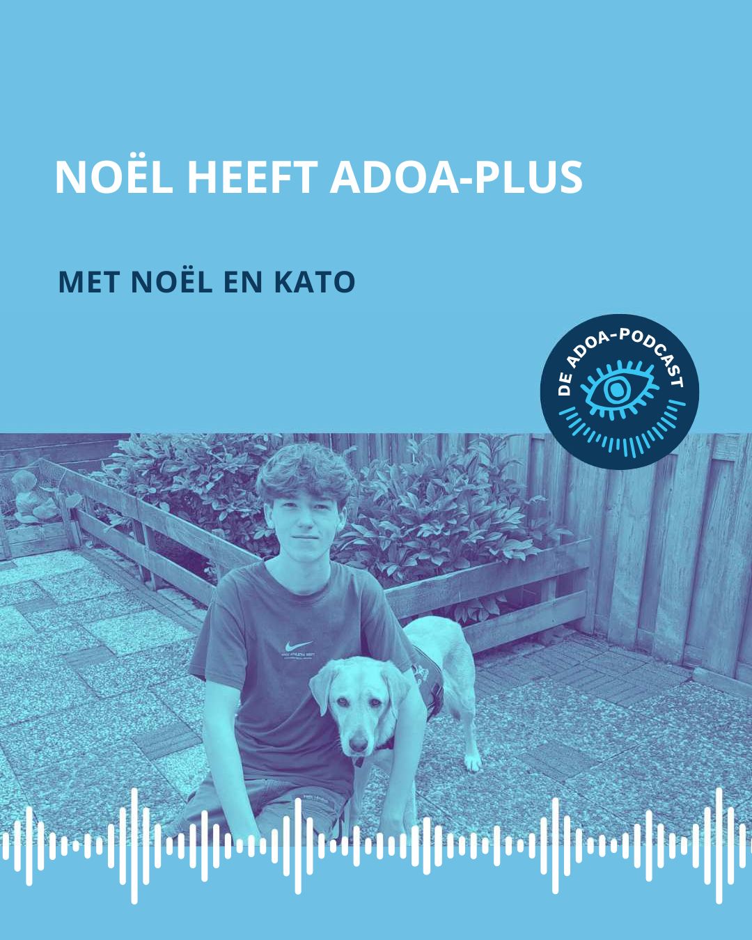 Op de onderste helft van het beeld zien we een foto van Noël met zijn hond Kato. Onderin de foto zie je streepjes die een soundwave voorstellen. Op de bovenste helft staat de tekst: 'Noël heeft ADOA-plus'. Daaronder staat ‘met Noël en Kato’. Rechtsonder de titel staat het logo van de ADOA-podcast