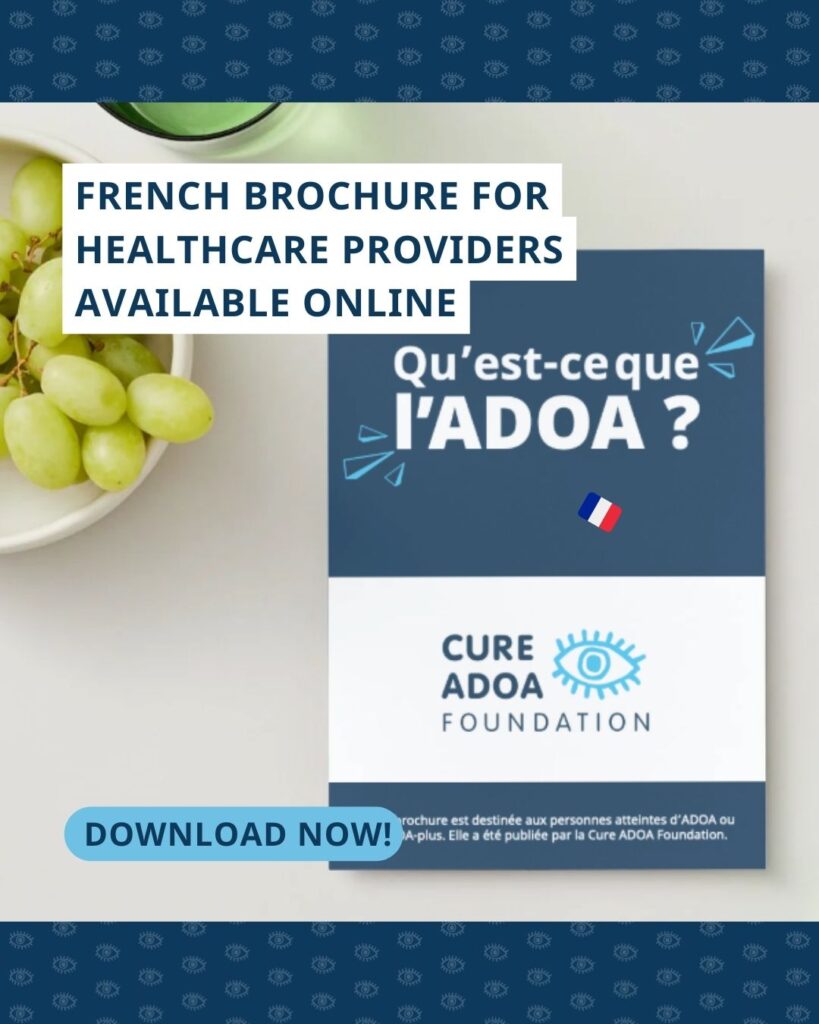 De Franse zorgverlenersfolder ligt op een tafel. Bovenaan de foto staat: “The French version is now available online!”. Onderaan staat: “Download now!”