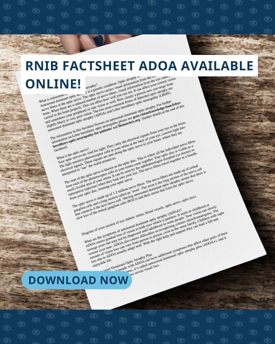 Foto van een uitgeprinte factsheet met bovenaan de foto de tekst ‘RNIB Factsheet ADOA available online!’ en onderaan ‘download now’.